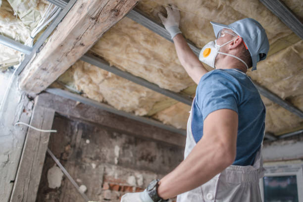 Best Insulation Materials and Products in Devine, TX