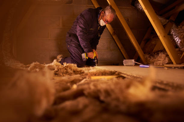 Best Insulation Maintenance and Repair in Devine, TX